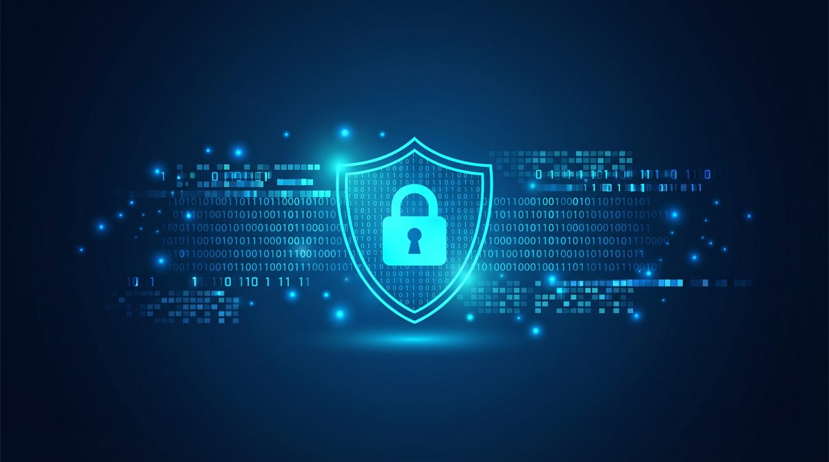 野蜂加速器隐私安全保护